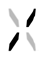 SWING warning icon.png